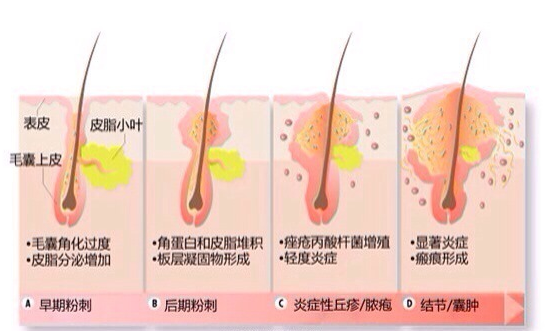 文章附图