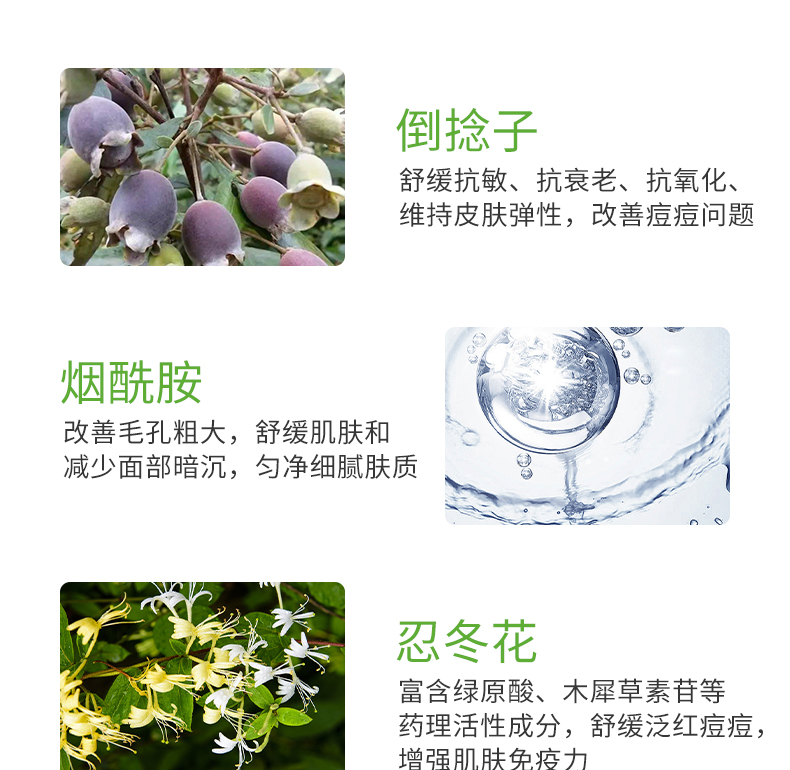 HDD丹参舒缓清肌精华液_07.jpg